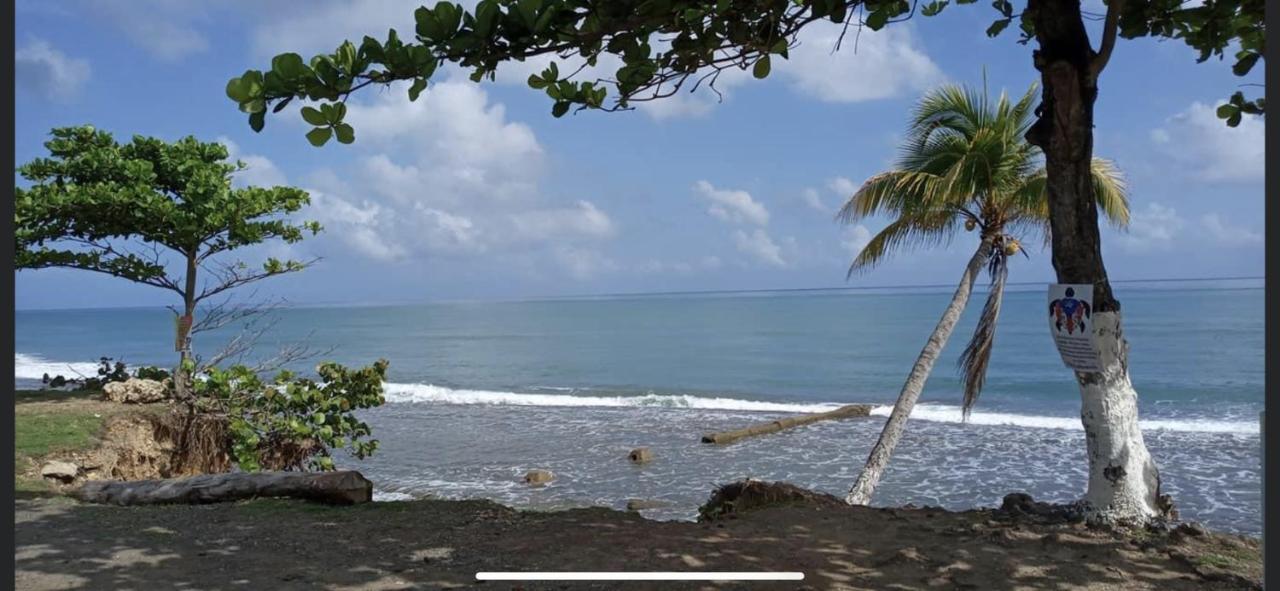 Casa Del Mar !!! Ocean front villa Aguada Exteriör bild